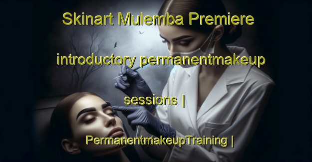 Skinart Mulemba Premiere introductory permanentmakeup sessions | PermanentmakeupTraining | PermanentmakeupClasses | SkinartTraining-the Democratic Republic of the Congo